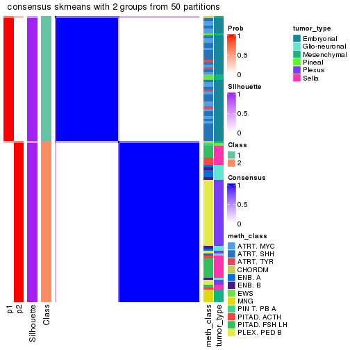 plot of chunk tab-node-0232-consensus-heatmap-1