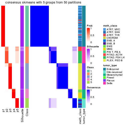 plot of chunk tab-node-0232-consensus-heatmap-4