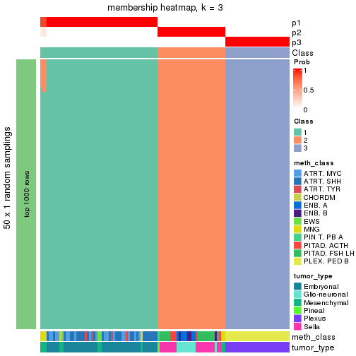 plot of chunk tab-node-0232-membership-heatmap-2