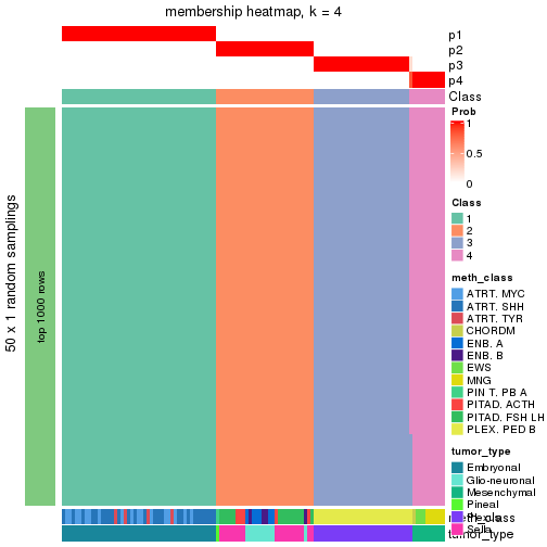 plot of chunk tab-node-0232-membership-heatmap-3