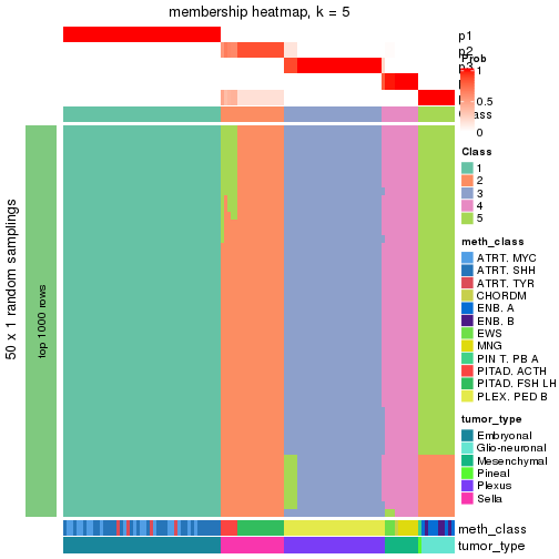 plot of chunk tab-node-0232-membership-heatmap-4