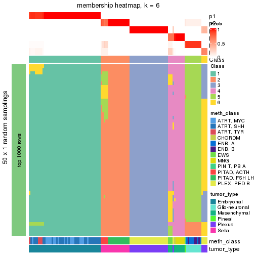 plot of chunk tab-node-0232-membership-heatmap-5