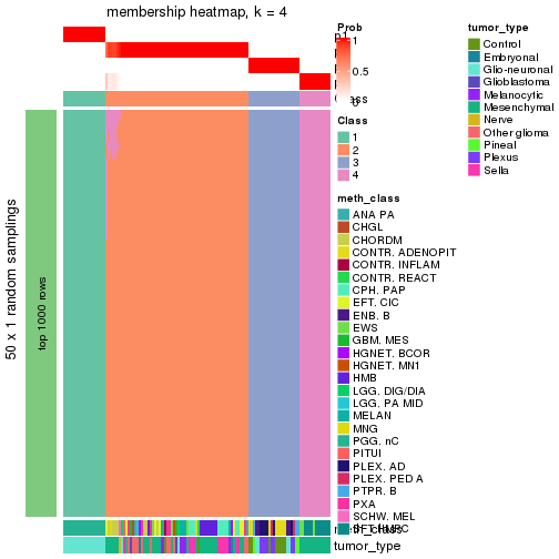 plot of chunk tab-node-0236-membership-heatmap-3