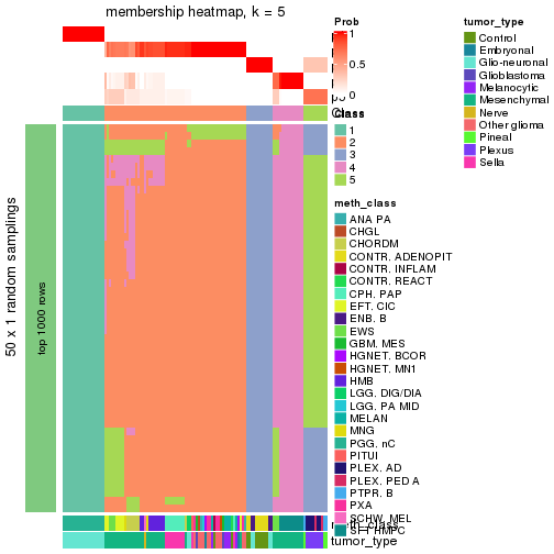 plot of chunk tab-node-0236-membership-heatmap-4