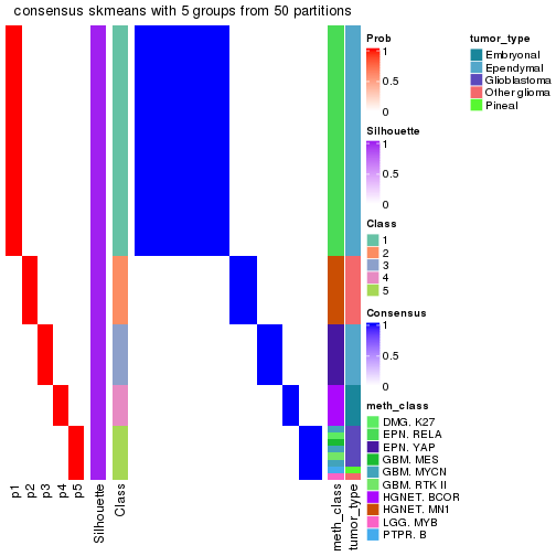 plot of chunk tab-node-0237-consensus-heatmap-4