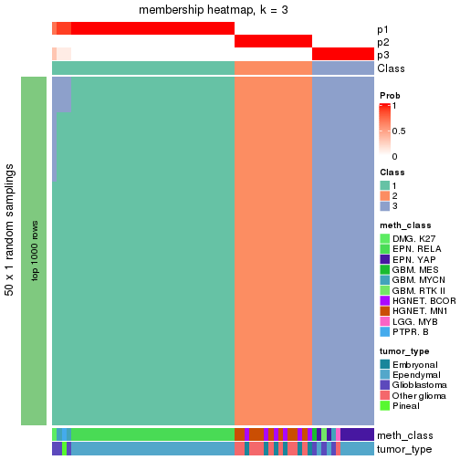 plot of chunk tab-node-0237-membership-heatmap-2