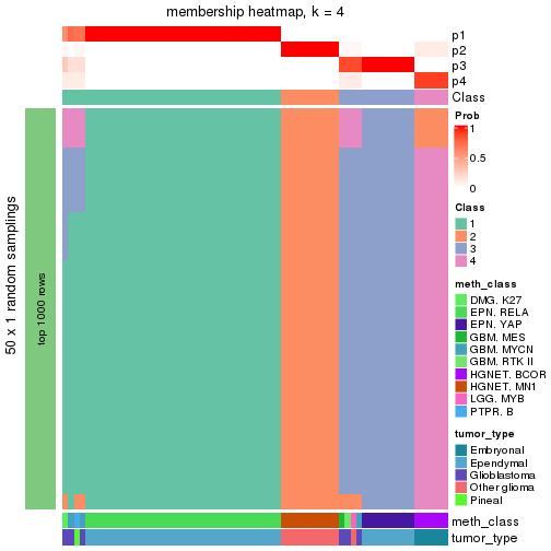 plot of chunk tab-node-0237-membership-heatmap-3