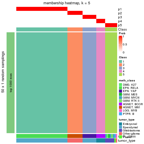 plot of chunk tab-node-0237-membership-heatmap-4