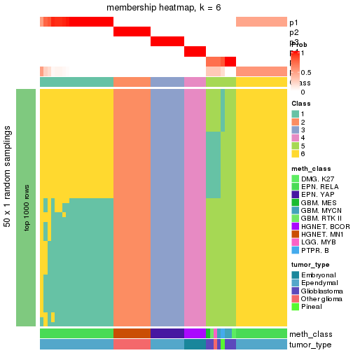 plot of chunk tab-node-0237-membership-heatmap-5