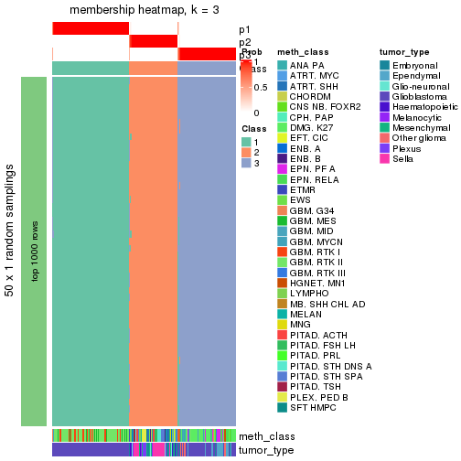 plot of chunk tab-node-024-membership-heatmap-2