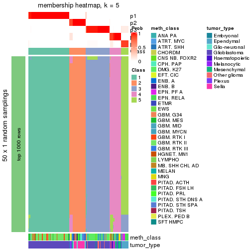 plot of chunk tab-node-024-membership-heatmap-4