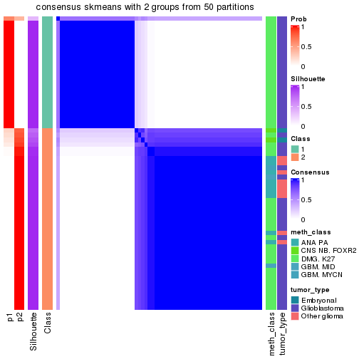 plot of chunk tab-node-0243-consensus-heatmap-1