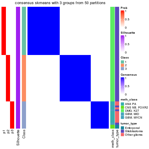 plot of chunk tab-node-0243-consensus-heatmap-2