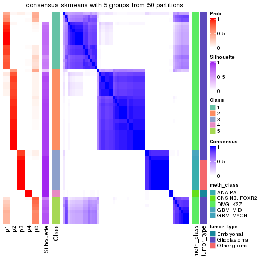 plot of chunk tab-node-0243-consensus-heatmap-4