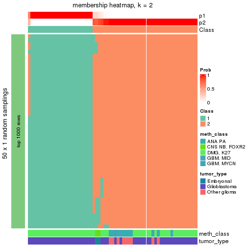 plot of chunk tab-node-0243-membership-heatmap-1