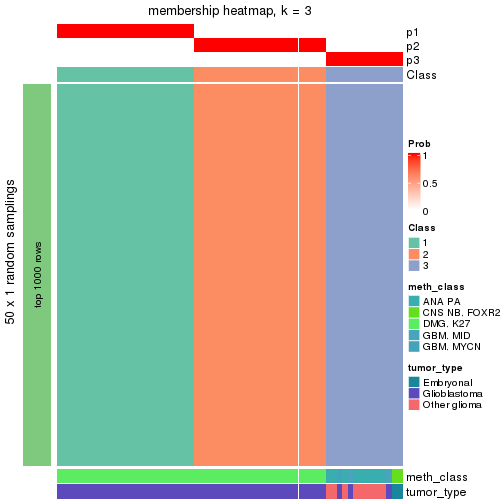 plot of chunk tab-node-0243-membership-heatmap-2