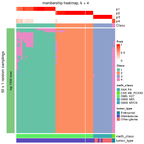 plot of chunk tab-node-0243-membership-heatmap-3