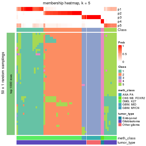 plot of chunk tab-node-0243-membership-heatmap-4