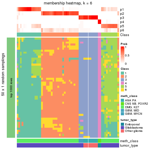 plot of chunk tab-node-0243-membership-heatmap-5