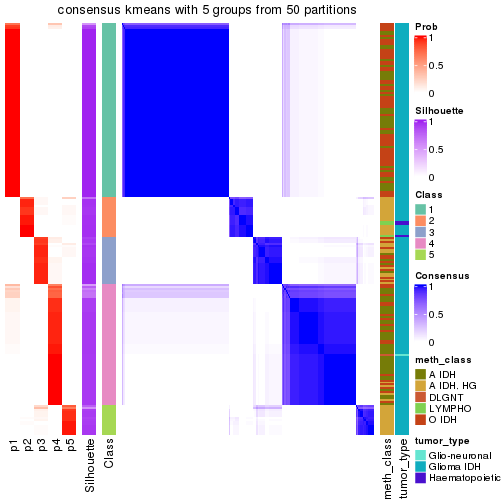 plot of chunk tab-node-03-consensus-heatmap-4