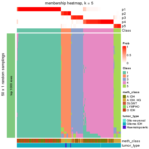 plot of chunk tab-node-03-membership-heatmap-4