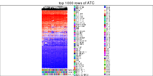 plot of chunk top-rows-heatmap