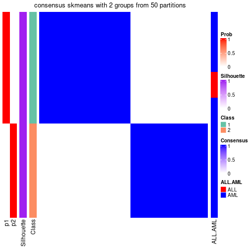 plot of chunk tab-node-02-consensus-heatmap-1