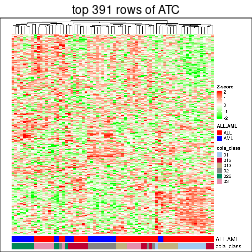 plot of chunk top-rows-heatmap