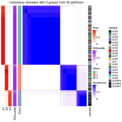 plot of chunk tab-node-0-consensus-heatmap-2