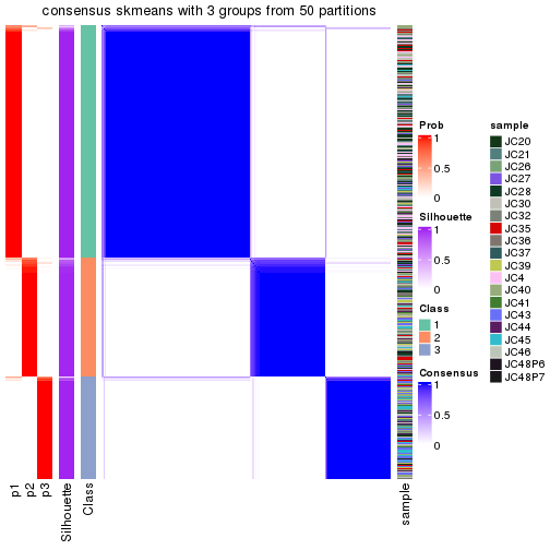 plot of chunk tab-node-01-consensus-heatmap-2