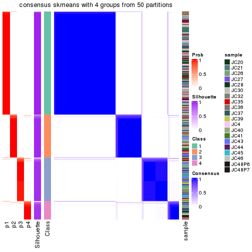 plot of chunk tab-node-01-consensus-heatmap-3