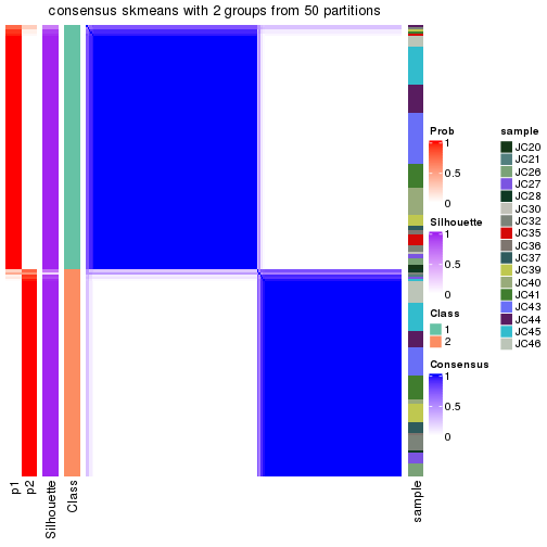 plot of chunk tab-node-013-consensus-heatmap-1