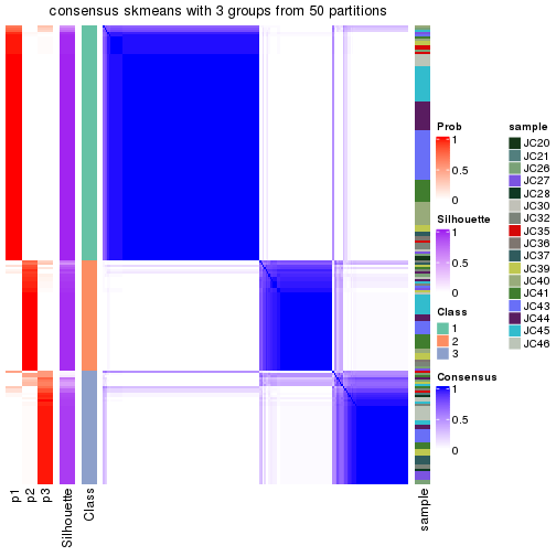 plot of chunk tab-node-013-consensus-heatmap-2