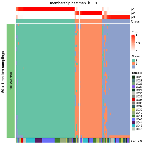 plot of chunk tab-node-013-membership-heatmap-2