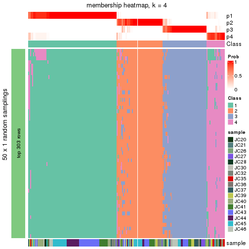 plot of chunk tab-node-013-membership-heatmap-3