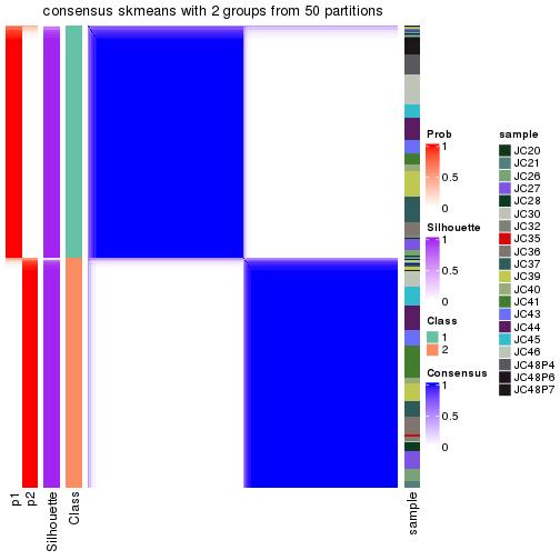 plot of chunk tab-node-02-consensus-heatmap-1