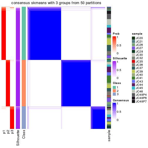 plot of chunk tab-node-02-consensus-heatmap-2