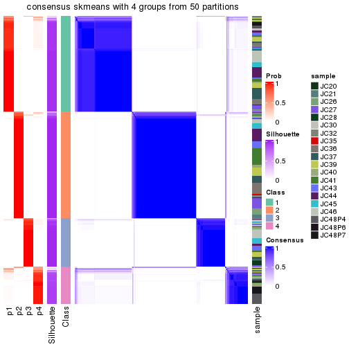 plot of chunk tab-node-02-consensus-heatmap-3