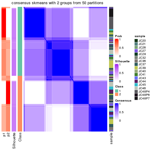 plot of chunk tab-node-021-consensus-heatmap-1