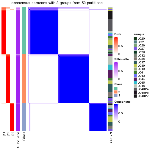 plot of chunk tab-node-021-consensus-heatmap-2