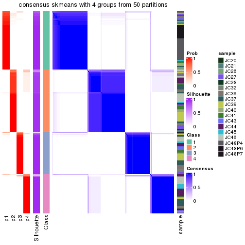 plot of chunk tab-node-021-consensus-heatmap-3