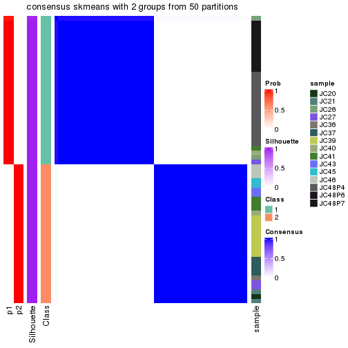 plot of chunk tab-node-0211-consensus-heatmap-1