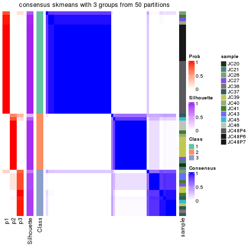 plot of chunk tab-node-0211-consensus-heatmap-2