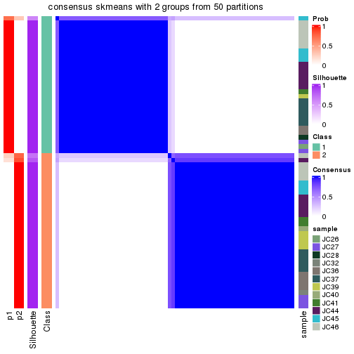 plot of chunk tab-node-0212-consensus-heatmap-1