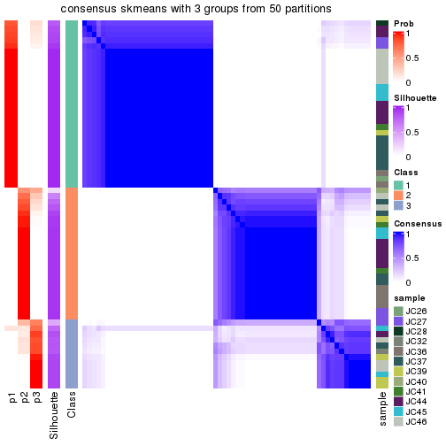 plot of chunk tab-node-0212-consensus-heatmap-2