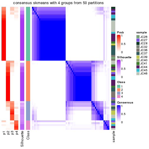 plot of chunk tab-node-0212-consensus-heatmap-3