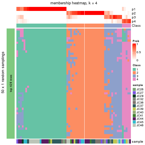 plot of chunk tab-node-0212-membership-heatmap-3