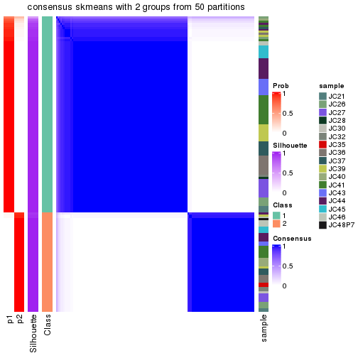 plot of chunk tab-node-022-consensus-heatmap-1