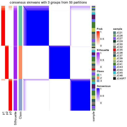 plot of chunk tab-node-022-consensus-heatmap-2