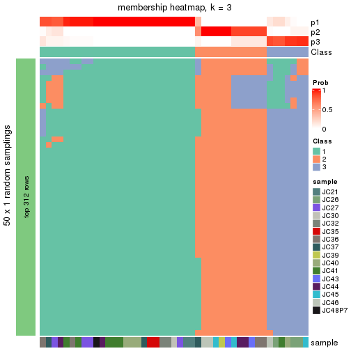 plot of chunk tab-node-0222-membership-heatmap-2